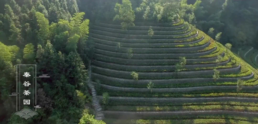 微信图片_20240202154847