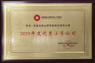 2019年度优秀小额贷款公司—常德双鑫小额贷款股份有限公司