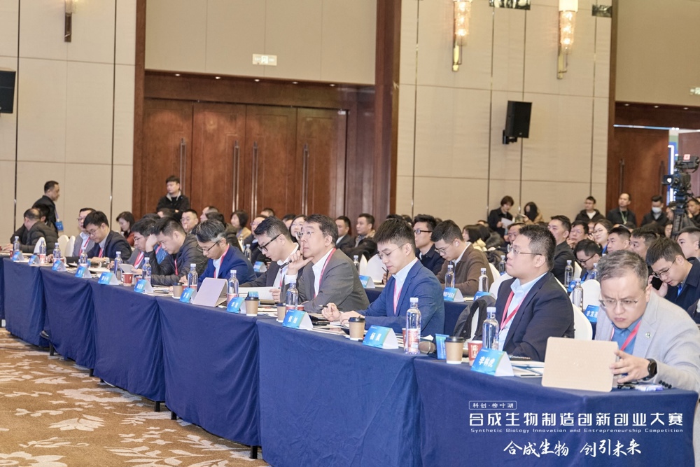专业评委为决赛项目点评打分