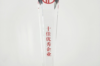  常德市第十六届十佳优秀企业——蓝月亮料全年资料大全