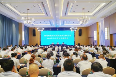 勤力耕耘正当时 击鼓催征再奋战——财鑫集团召开2025年度半年工作推进会