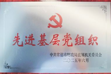 财鑫集团第八党支部：党建引领聚合力 融合发展创佳绩