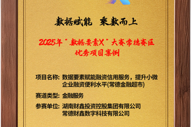 2025年“数据要素X”大赛常德赛区优秀项目案例——湖南财鑫集团、常德财鑫数字科技有限公司