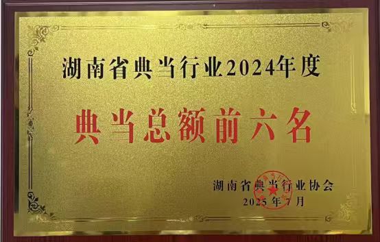 3号 2025.07 湖南省典当行业2024年度-典当总额前六名(财鑫典当）-2025年7月湖南省典当行业协会颁发（财鑫典当未给奖牌）