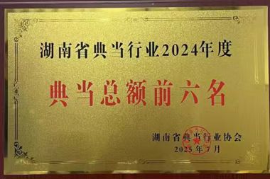 湖南省典当行业2024年“典当总额前六名”——财鑫典当