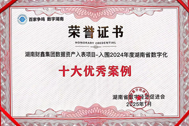 湖南财鑫集团数据资产入表项目-入围2024年度湖南省数字化十大优秀案例