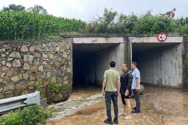 财鑫集团驻村工作队全力迎战极端暴雨 筑牢“暖心堤”
