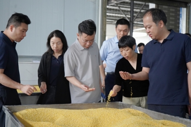 财鑫集团问需于企 民间投资专项担保计划助力企业“放手干”